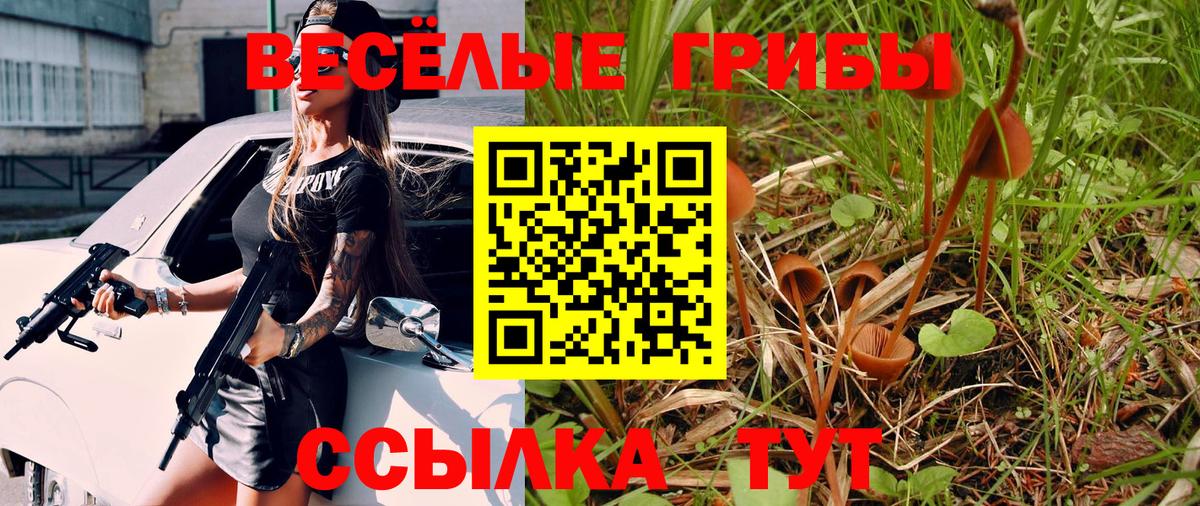 Ревда  Галлюциногенные грибы Magic Shrooms  Вход с VPN 